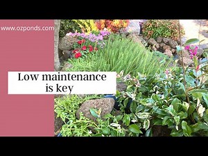 Bog filter plants| Selecting the right ones