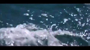 “Dalmacija teče mi kroz vene” Boris Oštrić & Ribari/Klapa kamen B.Oštrić B.Oštrić #borisostrisribari #vjenčanja #dalmacija #hrvatska #more #ribari #dalmacijaumomoku #split #trogir #okrugdonji #okruggornji #glazba #hrvatskaglazba #croatianmusic | boris_ostric_i_ribari