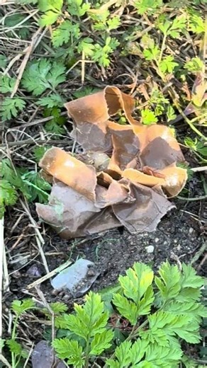 Final Project - Healing Rituals and Magical Secrets 📞+34-640302323