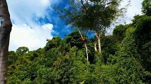 《Spring》轻柔舒缓，悦耳怡心，聆听入境，一起感受音乐的美