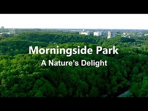 A Pure Nature’s Delight | 4K Aerial View of Morningside Park