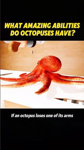 What amazing abilities do octopuses have? #knowledge #science