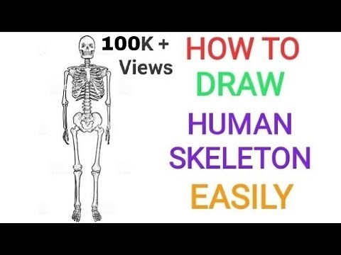 Easy way to draw human skeleton | Quickly | Easily | For exam | Neat and well labelled diagram