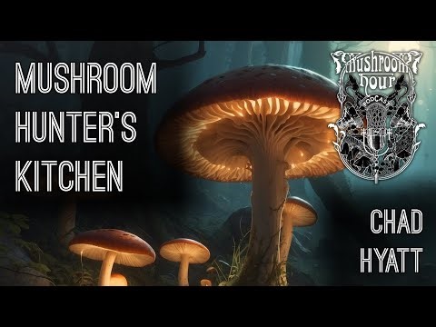 The Mushroom Hunter's Kitchen, Catalonia Cooking | Chad Hyatt