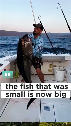 FISH BIGG #ikan #fishing #mancingmania