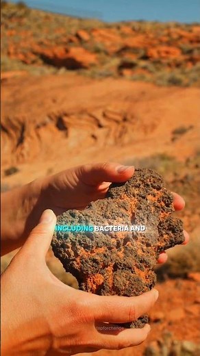 Why Healthy Soil Matters