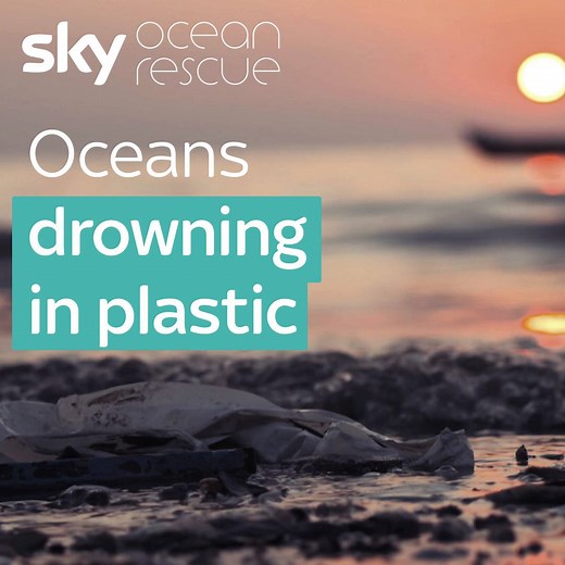 Our oceans are drowning in plastic, and we need your help to fix it You can support our Sky Ocean Rescue campaign by heading to www.skyoceanrescue.com #OceanRescue | Sky News