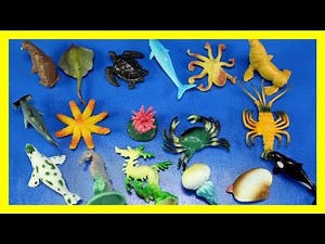 Learn 30 Sea Animals - Fish Shark Whale Octopus Toys For Kids