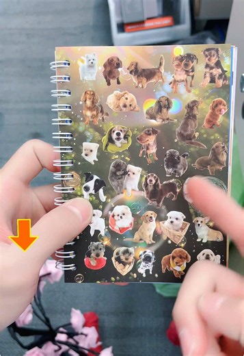 Cutest Pet Sticker Book Ever! 800 Stickers in Each Pack 🐱🐶💖#TikTokShopBlackFriday #TikTokShopCyberMonday #spotlightfinds #StickerBook #KawaiiStickers