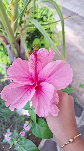 Marlette Nobin on TikTok