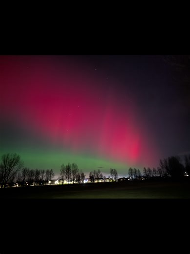 The Aurora Borealis 19/01/2026 #auroraborealis #northernlights #spectacular #stunning