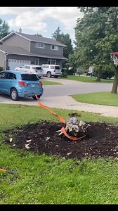 4 cylinder vs tree stump! #stumpremoval #automobile #pulling #yardwork | Dominic Brown