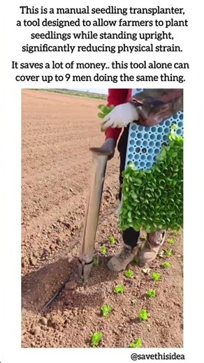 a seedling transplanter. #shorts #transplanter