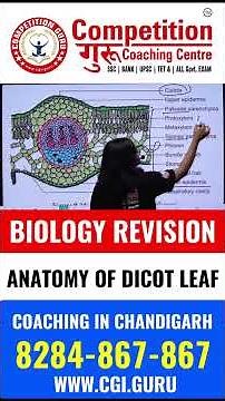 Biology Revision: Anatomy of Dicot Leaf Explained by Sejal Mam #competitionguru