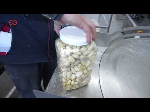 Garlic Peeling Processing Line