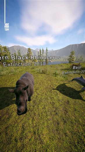 15 Animals That No Longer Exist - Let's see 15 animals that no longer exist, from legendary giants to small forgotten species. | The Brain Maze