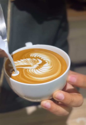 Mastering Coffee Art: A Guide for Aspiring Baristas