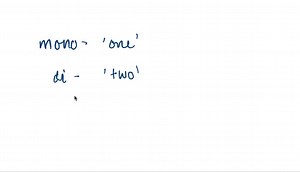 SOLVED:(a) What is the basic structure of a monosaccharide? (b) How are disaccharides and polysaccharides different from monosaccharides?