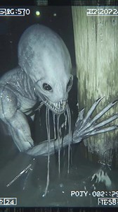 Security camera footage from a remote dock—activated by motion at 1:14 AM—captures a bizarre, humanoid figure emerging briefly from the black water. It doesn’t roar. Doesn’t flee. It simply stares at the camera for 22 seconds… then slips backward into the waves without a ripple. No boats were nearby. No marine mammal matches its form. And the dock’s security system had been offline for months—until that exact night. **Is this a deep-sea adaptation of humanity?** **A surviving myth like the “Blac