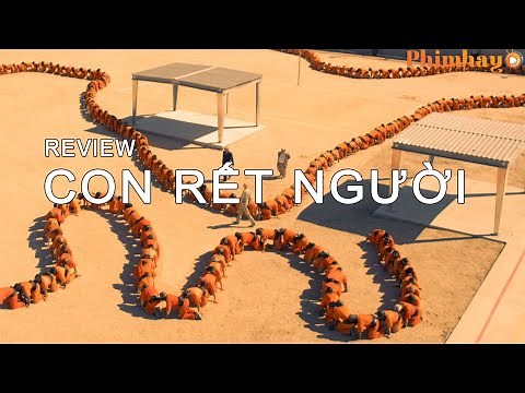 REVIEW TÓM TẮT: CON RẾT NGƯỜI 3