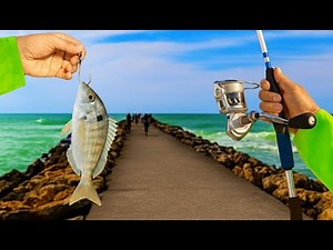I Dropped A Big Pinfish by The Rocks! (Venice Jetty Snook Fishing Challenge)