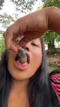 ​Surviving The Jungle: Eating Massive Grubs For Extreme Food Challenge! 🐛