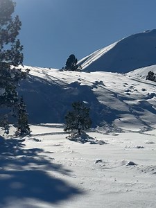 Twin Lakes Resort on Reels
