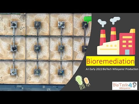 Quick Introduction to Bioremediation of Wastewater and Soil (Doodle) in 2 Minutes