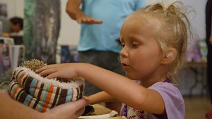 World Environment Day celebration brings together families, environmental advocates