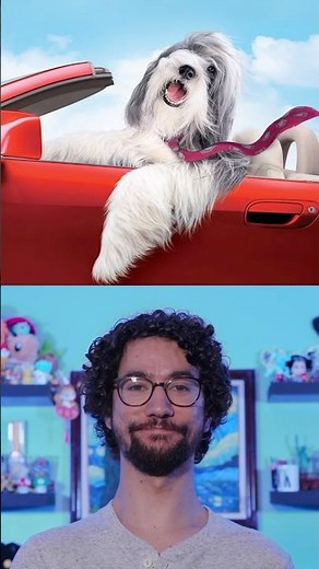 The Shaggy Dog Review #movies #film #cinema #moviereview #shaggydog