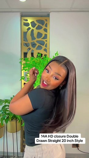 HD Full Frontal Closure Double Drawn Straight Wig 20 Inch