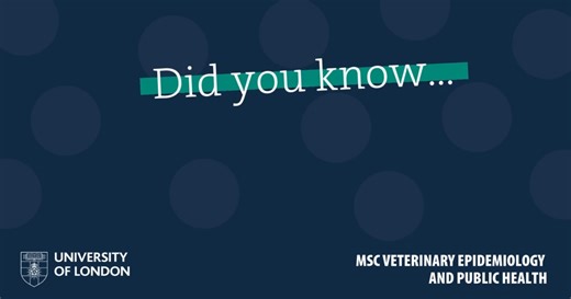 1.9K views · 20 reactions | Studying our MSc Veterinary Epidemiology and Public Health degree online gives you the freedom to gain an internationally recognised qualification around your day-to-day life. Students of this degree benefit from studying modules created with academic direction from the top vet school by QS World Rankings by Subject, The Royal Veterinary College (RVC), and becoming part of the wider RVC community. Find out more: london.ac.uk/rvc | University of London | Facebook