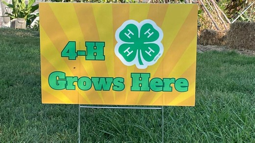 4-H program celebrates National 4-H Week
