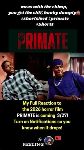 mess with the chimp, you get the cliff, hunky dumpty🙈 #shorts #primate #viralshorts