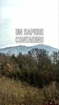 L'ARTE DEL SALICE INTRECCIATO