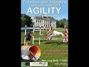 Finale Grand Prix de France Agility 2024