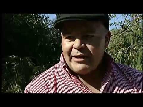 Bruce Springsteen on the streets of Boston