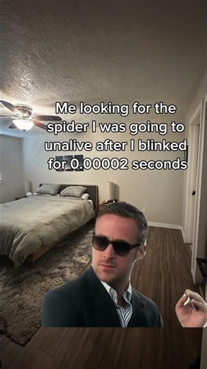 Affordable pest control that actually works