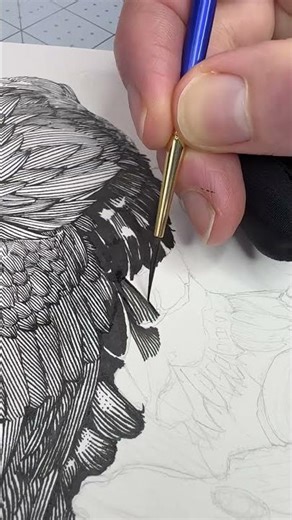 How Can You Master the Art of Dip Pen Drawing with This Simple Raven Tutorial?