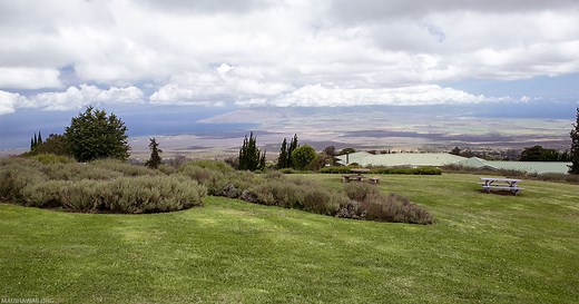 Aliʻi Kula Lavender Garden - Farm Tours - Maui Hawaii