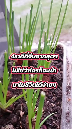 4ราศี ที่ จี บ ยาก สุดๆ#12 #ราศี #ดูดวง #คําทํานาย @ร้ายเดียงสา🦋.⋆