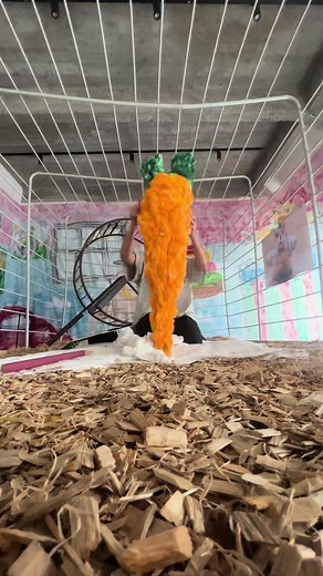Creative Music Performance with Colorful Textured Object