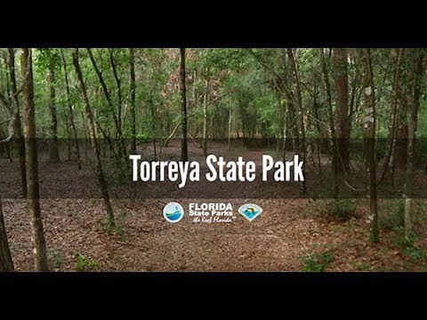 Firsthand Florida Fun: Torreya State Park