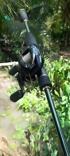 combo bass one xt 150 shimano