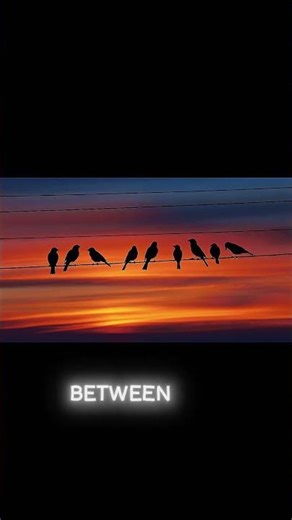 Why Don’t Birds Get Electrocuted on Power Lines? #electricity #science #shorts #technology