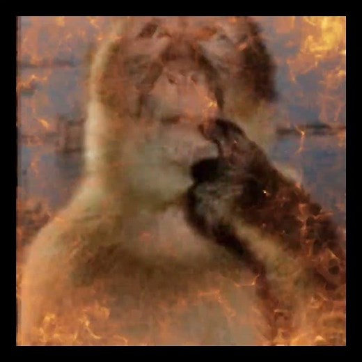 Monkey thinking meme#butifyoucloseyoureyes #memes