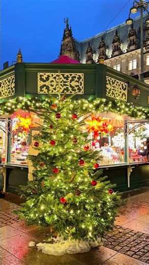 Hamburg Christmas Market ✨ Winter Wonderland 🎄