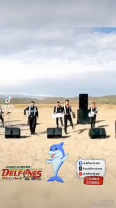 1.4K views · 11 reactions | #AGENDA_LIBRE #AGRUPACION_DELFINES...