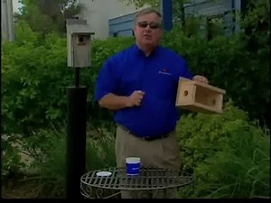 Bluebird Houses for Sale | Eastern & Western Bluebird Homes