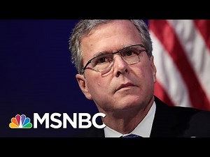 'Please Clap:' A Look Back At Jeb Bush's Campaign | All In | MSNBC